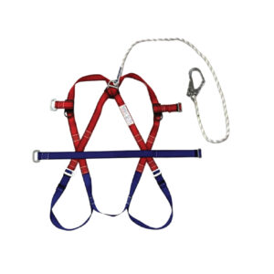 Safety Harness With Single Lanyard